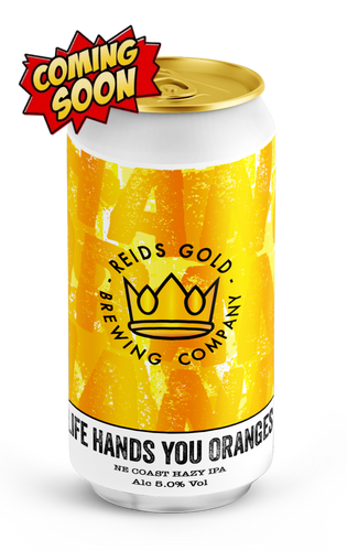 Life Hands You Oranges 440Ml Beer