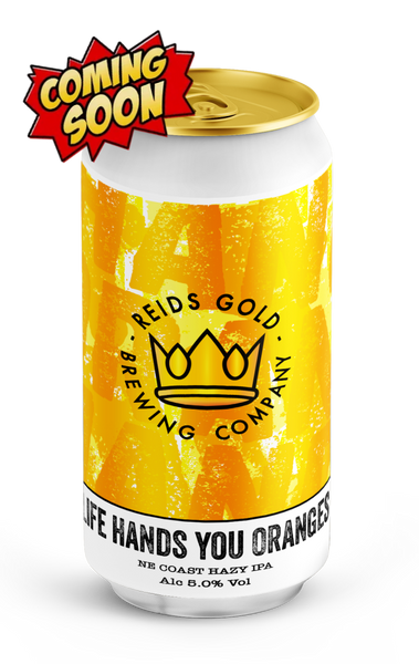 Life Hands You Oranges 440Ml Beer