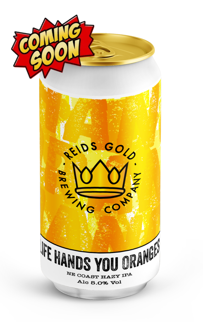 Life Hands You Oranges 440Ml Beer